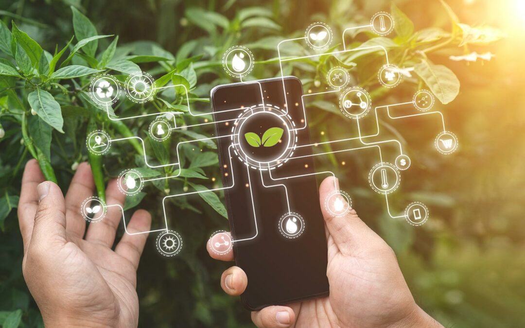 Électrification, numérisation, IA : croissance propre ou fuite en avant?